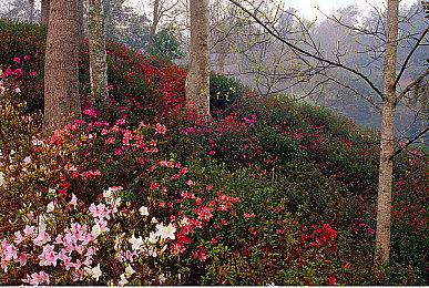 《师父》月末登陆Steam 竞技场模式同步免费更新